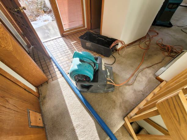 Best Residential Water Damage Restoration in Mount Carmel, TN