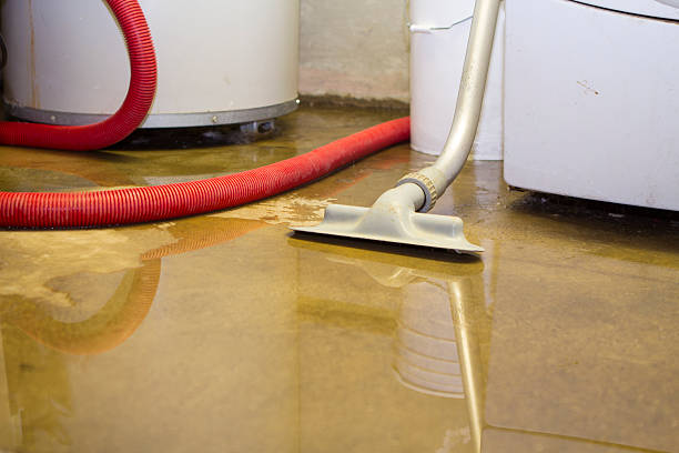 Best Commercial Water Damage Restoration in Mount Carmel, TN